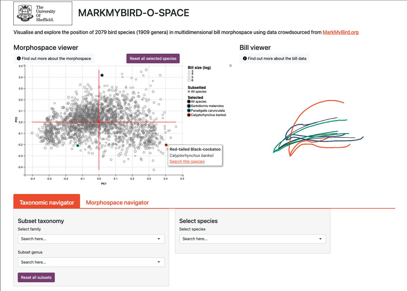 displaying bill data for three selected species