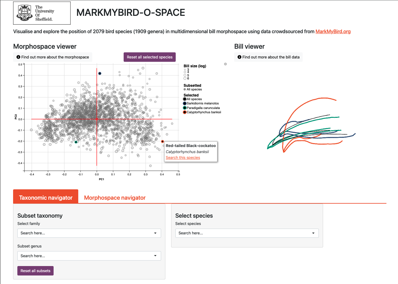  displaying bill data for three selected species